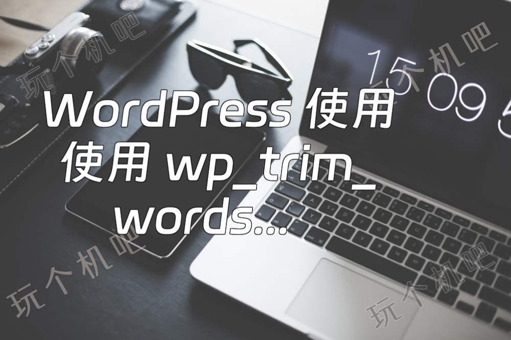 WordPress 使用使用 wp_trim_words() 截取限定字数的内容